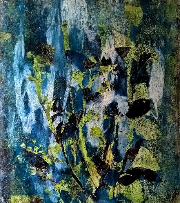 42x46 (5797)