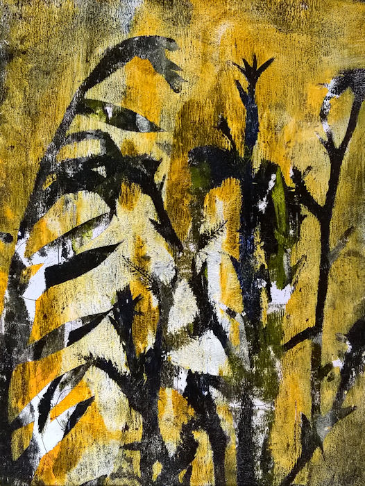 32x44 (4502)