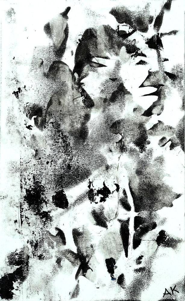 15x25 (2311) 