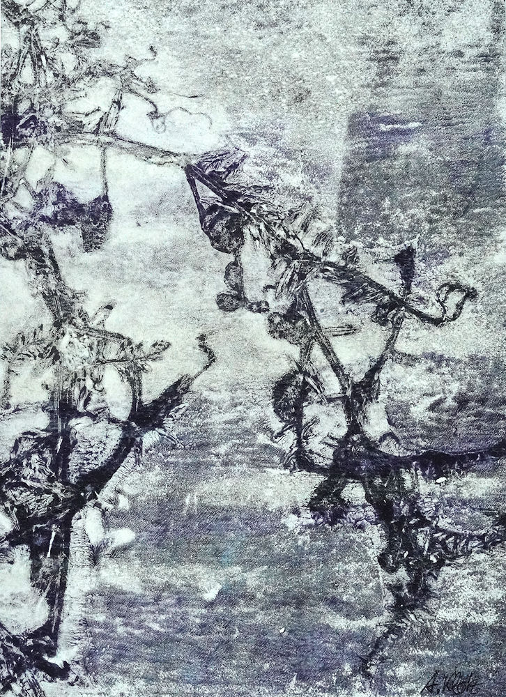 20x28 (3406)