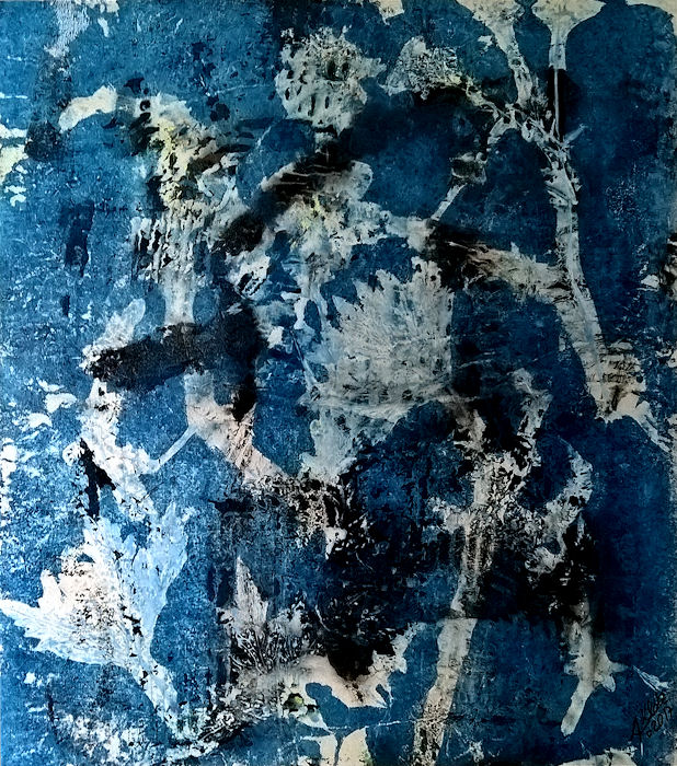 42x46 (5722)