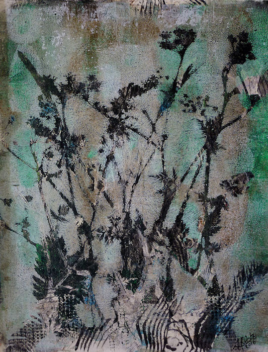 34x55,5