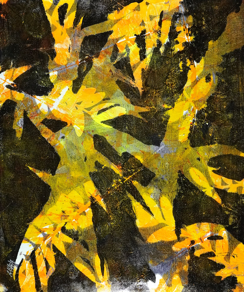 41,5x50 (5795)