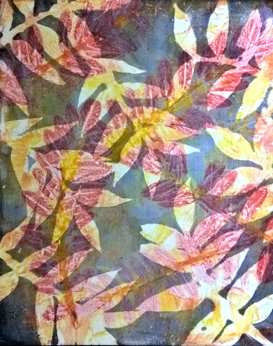 44x52 (5780)