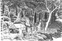 鴻之舞金山物語 - kounomai-ekitei ページ！