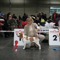 CACIB Hannover  Oktober  2012  Candy V  1 res. CAC  res. CACIB   Richter Dipl. - Ing. Jochen H. Eberhardt ( D ) 