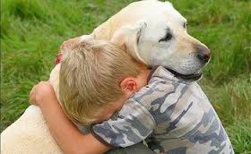 morsures enfant prevention chien