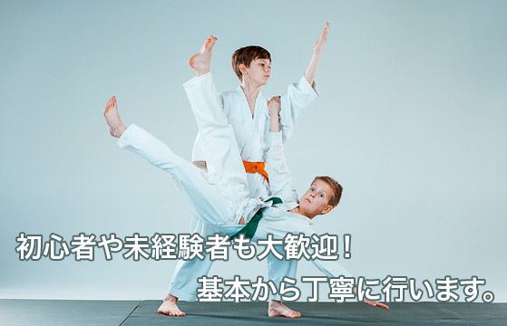 合気道の個別指導