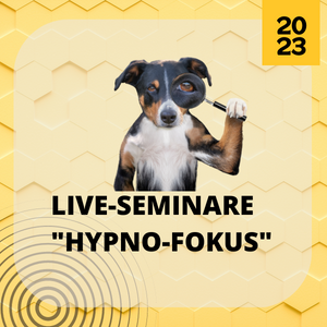 Hypno-Fokus Seminare