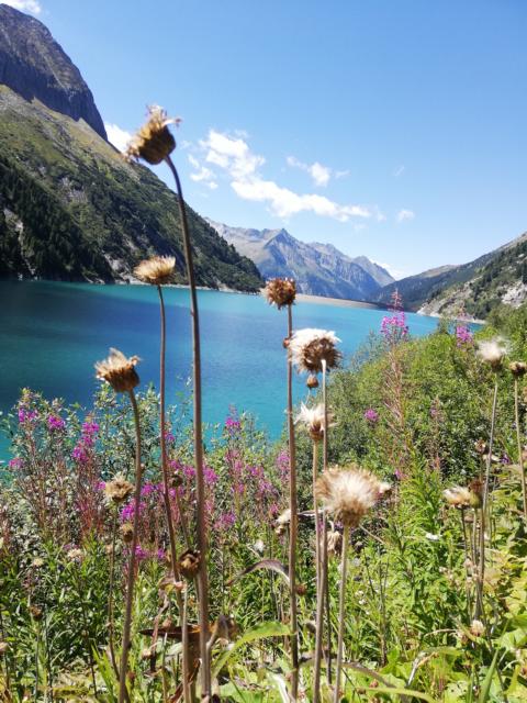 Speichersee Zillergründl mit Wanderung nach Klein-Tibet