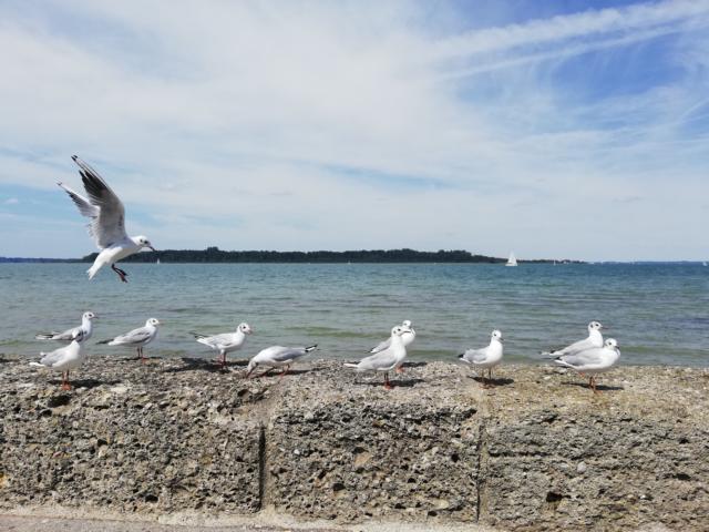 Schon die Anfahrt über den Chiemsee bringt mich in Urlaubsstimmung