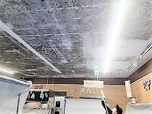 カビ取り作業中