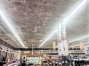 カビ取り前の天井