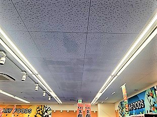 防カビ施工後の天井