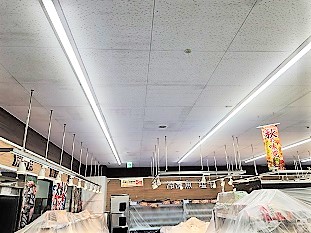 防カビ施工後の天井