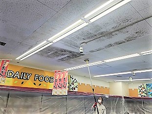 カビ除去作業中