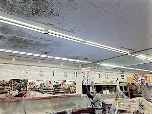 カビ取り作業中