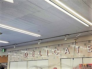 防カビ施工後の天井