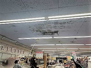 カビ除去作業中