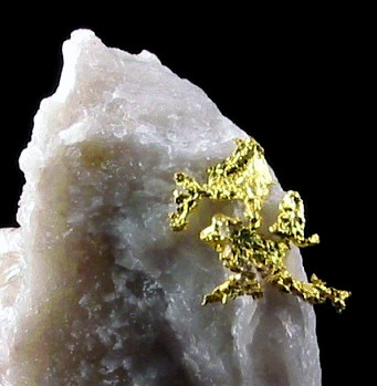 Kristallines Gold auf weißer Quarzmatrix, Eagel´s Nest Mine