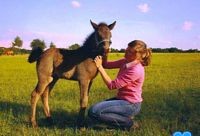 Vinur (geb. 2011) mit neuer Besitzerin