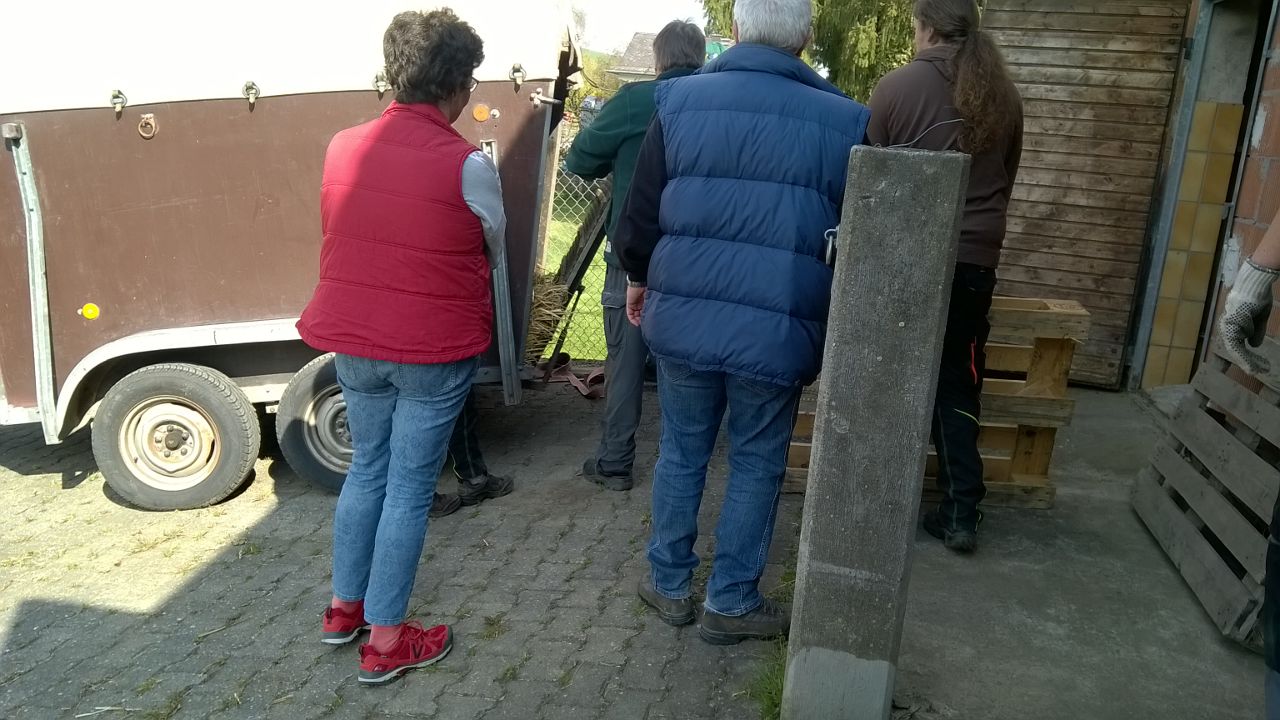 Bekanntschaft app
