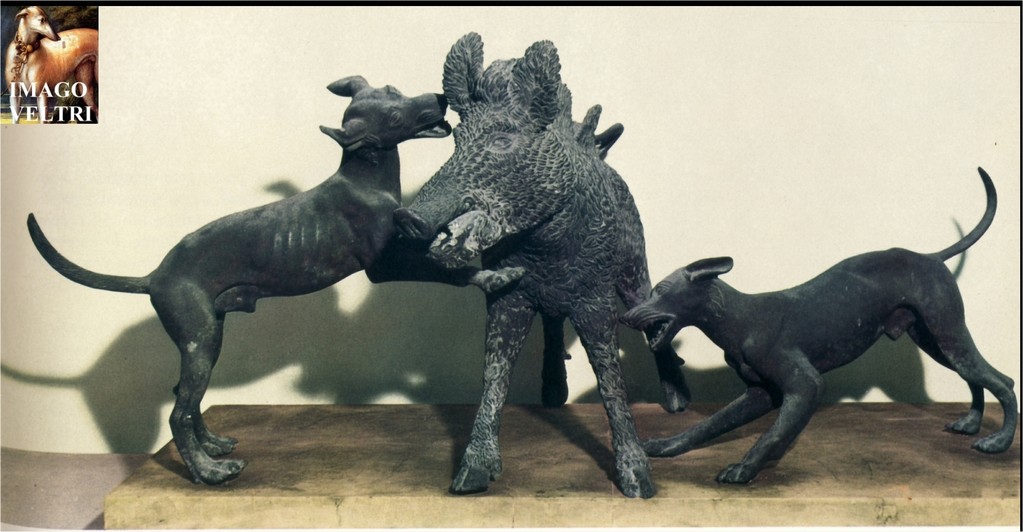 bronzo di caccia al cinghiale da Pompei,Museo Archeologico Napoli