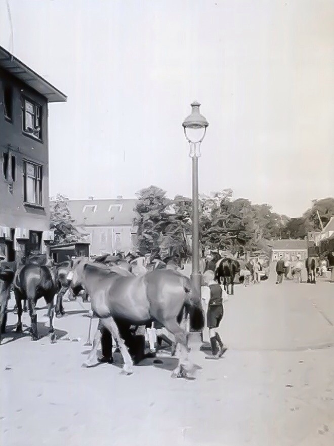 Mobilisatie vlak voor het begin van de Tweede Wereldoorlog. Het vorderen van paarden op de Paardenmarkt. 1939