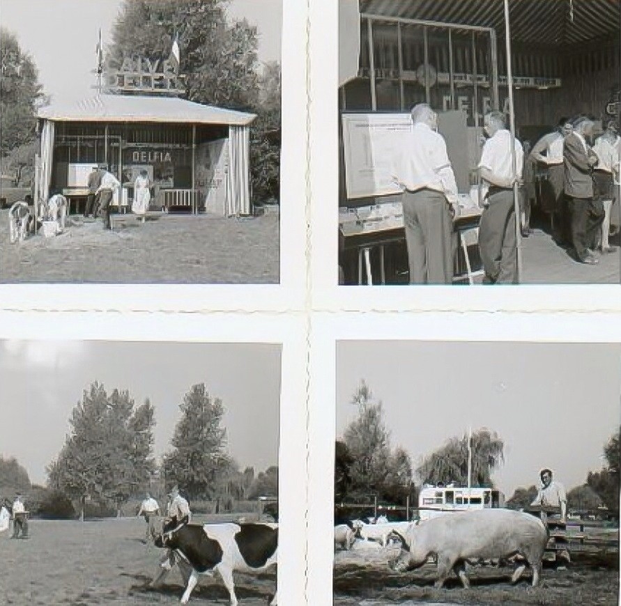 Waarschijnlijk de proefboerderij van Calvé aan de Wateringseweg ten westen van de spoorlijn Rotterdam - Den Haag. Het is ook mogelijk dat deze foto's een expositie van Calvé betreffen. 1960