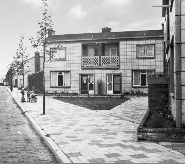 BOMENWIJK