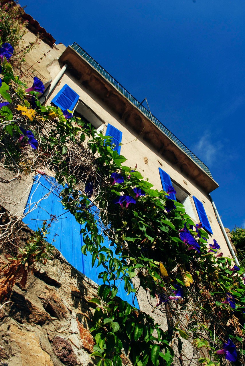 Saint-Tropez villages- September 2014