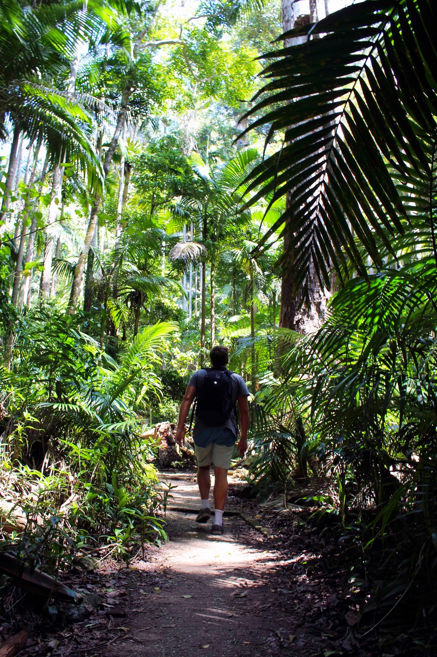Mount Warning, Australia- October 2015