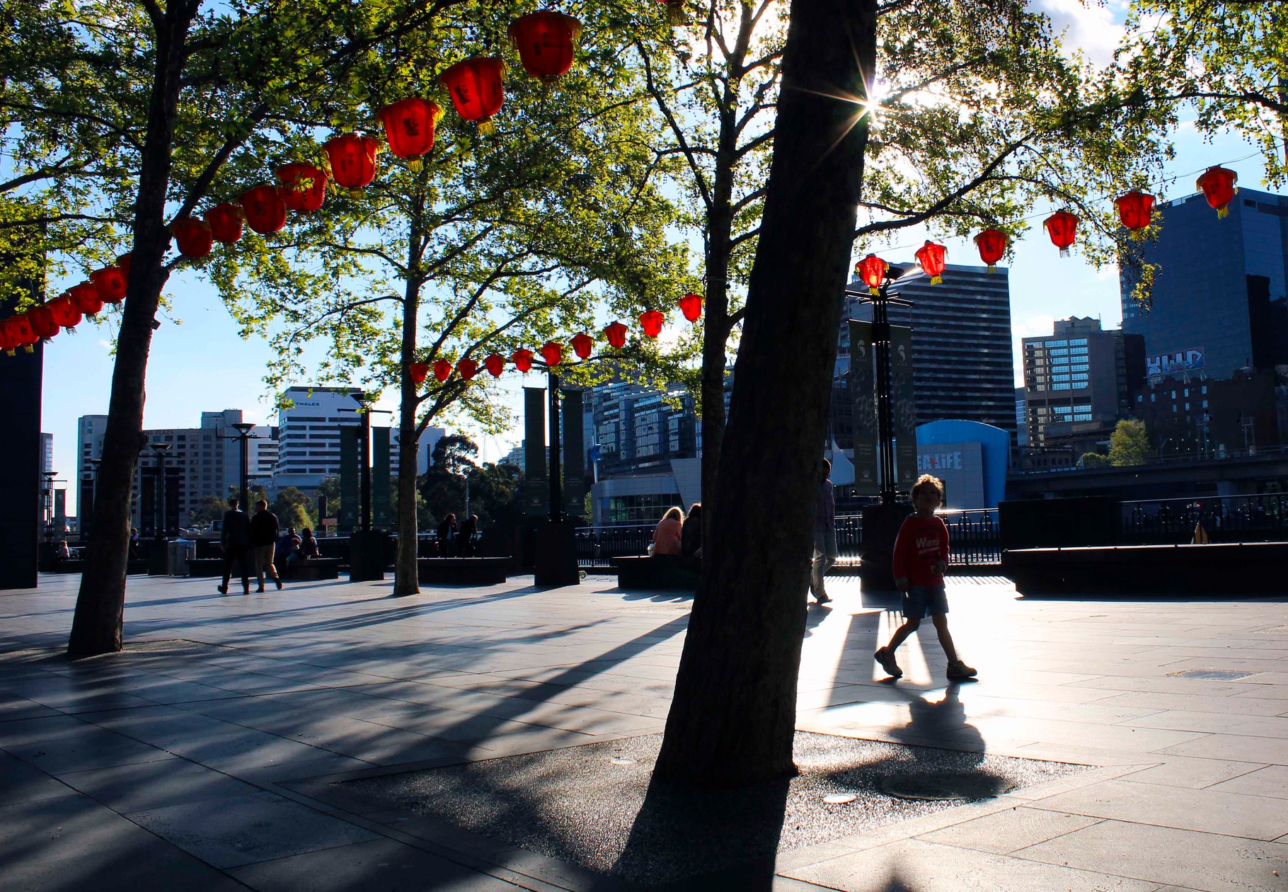 Chinese food festival- Melbourne- October 2015