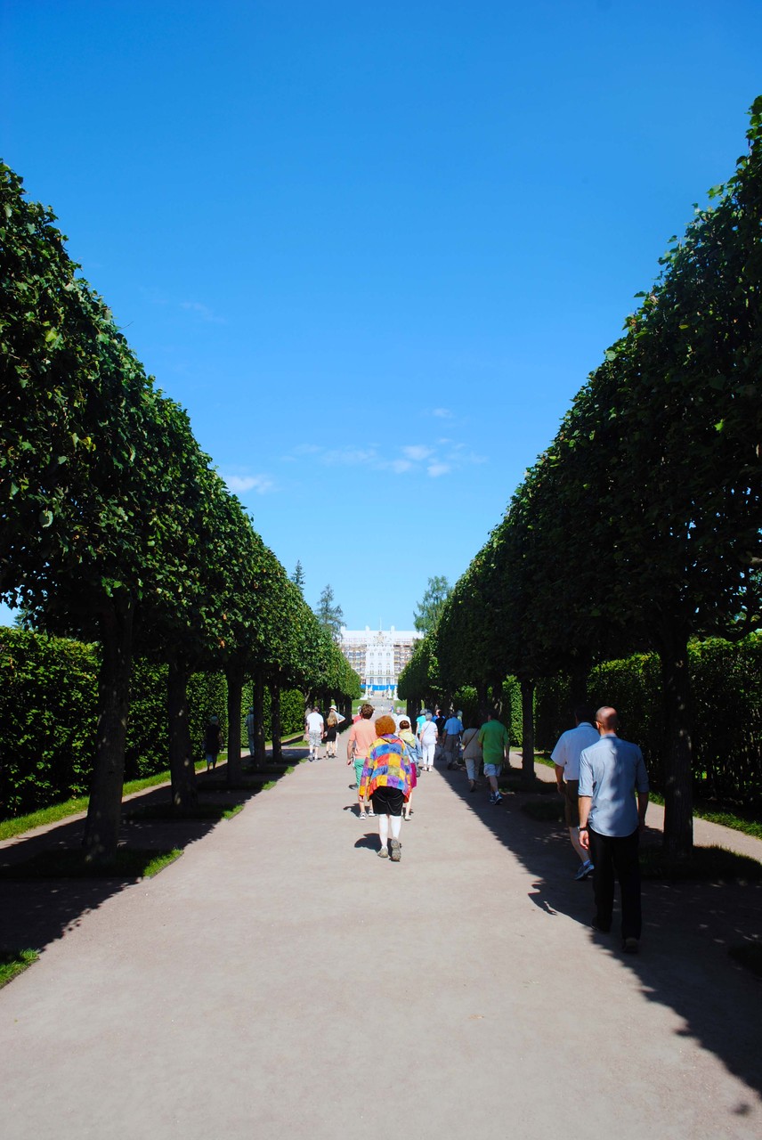 Catherine Palace- St Petersburg July 2014