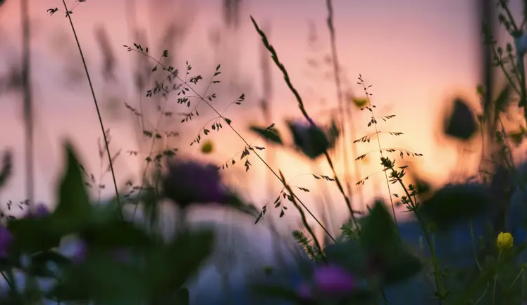 Conscience et Vibrations - Quatre ateliers de Valérie Segret  - annuaire de therapeutes via energetica