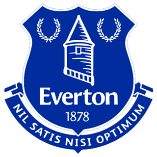 Dls kit everton top