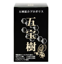 プロポリス 五種混合プロポリス 豊橋市の漢方相談専科 漢方自然薬のイバ 旧 イバ薬局 漢方薬 健康食品 化粧品 薬草でアレルギー 生活習慣病