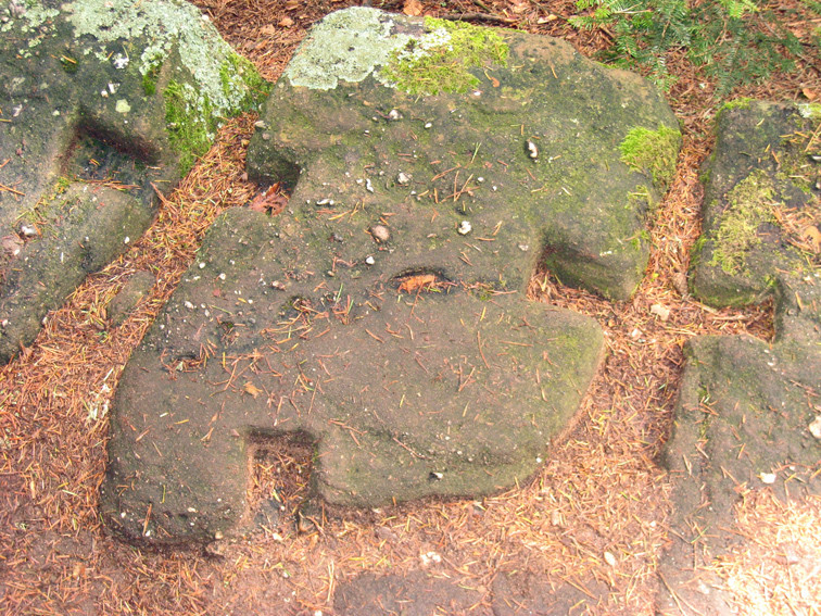 Détail pierre du mur Païen-Mont Sainte Odile (Bas-Rhin) 