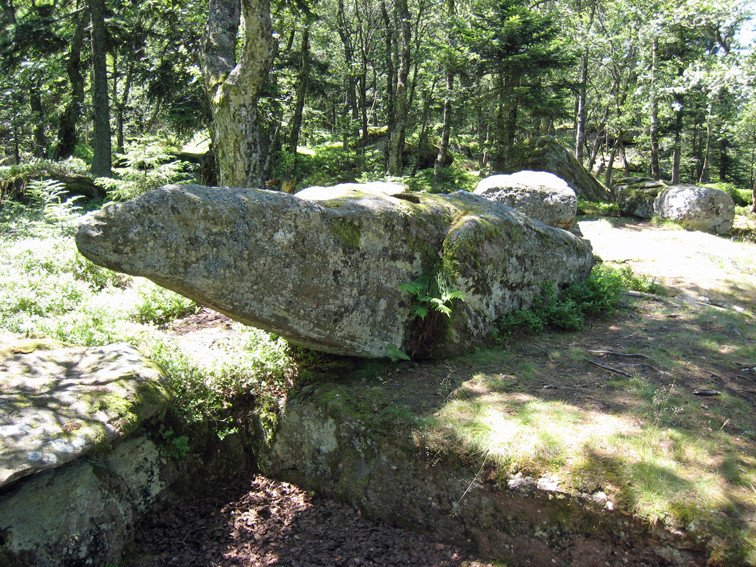 Rocher du Taenschel (Haut-Rhin)