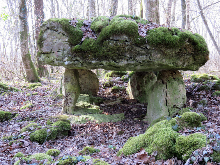 Dolmen de Rochefort sur la côte (Haute-Marne)