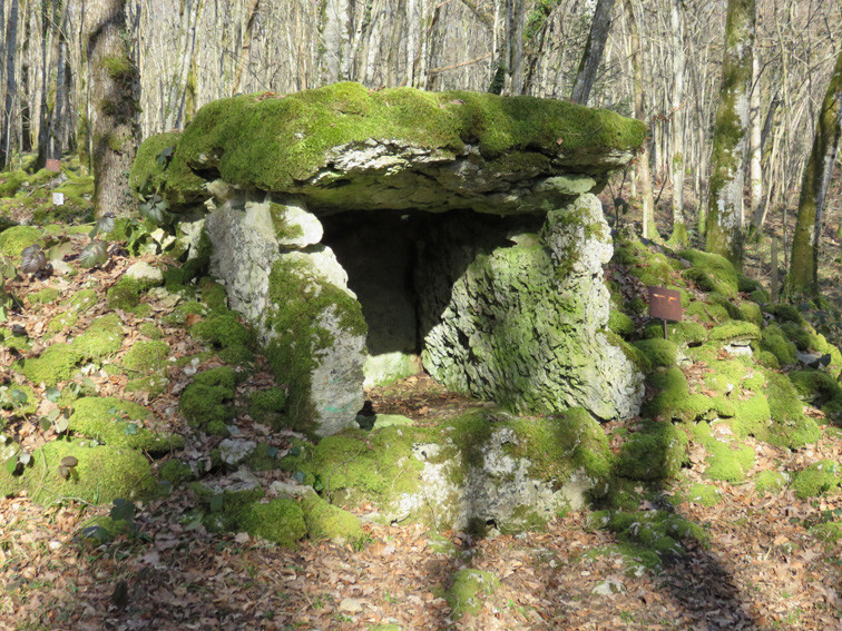 Dolmen du Fort Bévaux ( Haute-Marne)