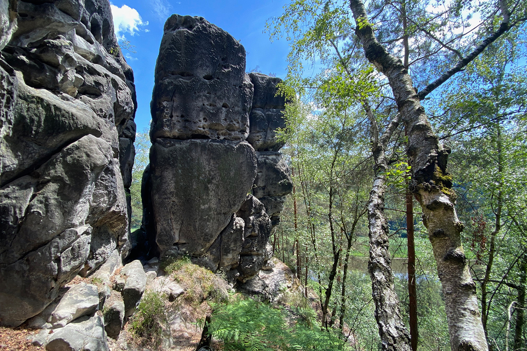 Sächische Schweiz // Felsen