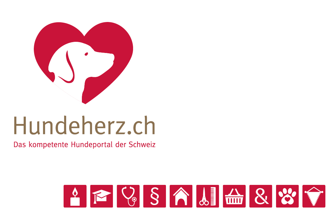 Corporate Design mit Logo und Geschäftsausstattung für eine Hunde-Forum // Logo und Icons