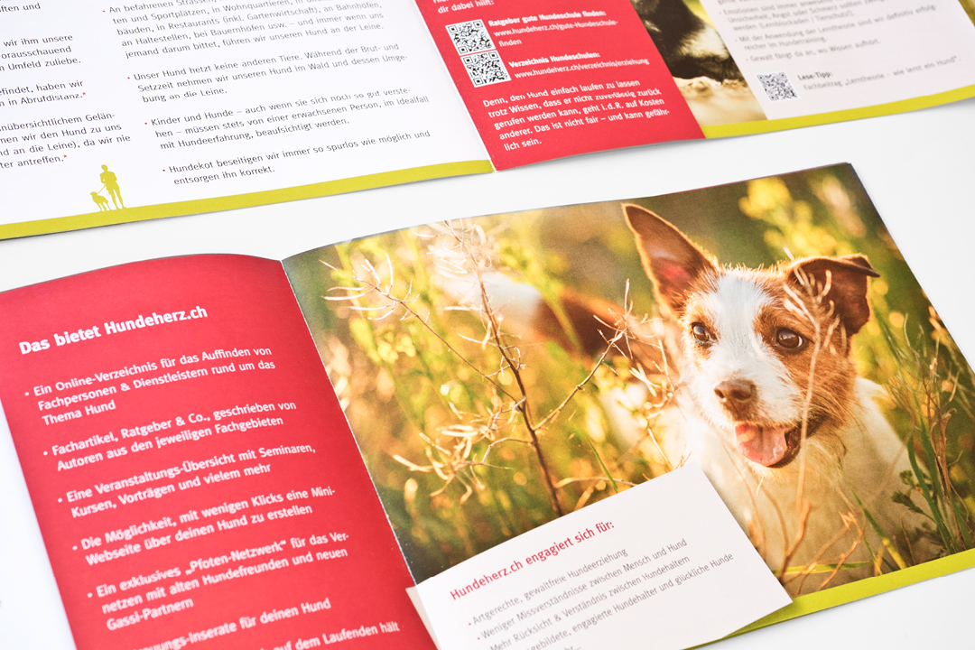 Corporate Design mit Logo und Geschäftsausstattung für eine Hunde-Forum // Flyer