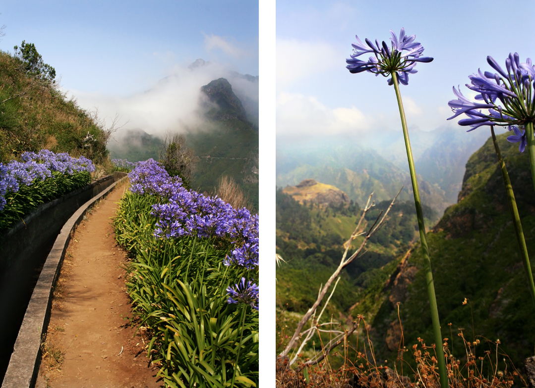 Auslandsreportage / Foto-Dokumentation über Madeira