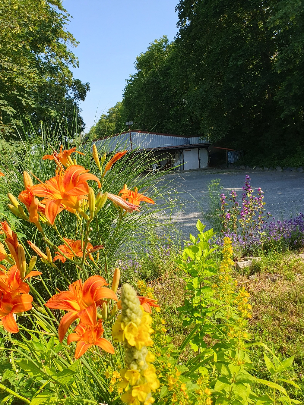 BOULEPARK Alfeld