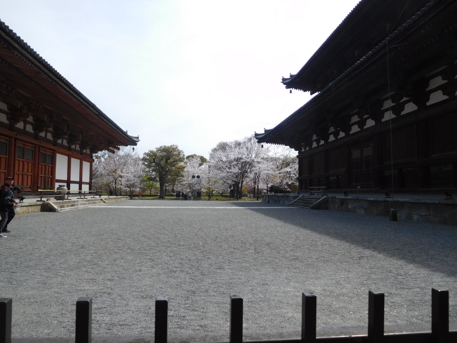そうだ 京都 行こう Part3 Amo 2 ページ そうだ 京都 行こう Part3 Amo 2 ページ