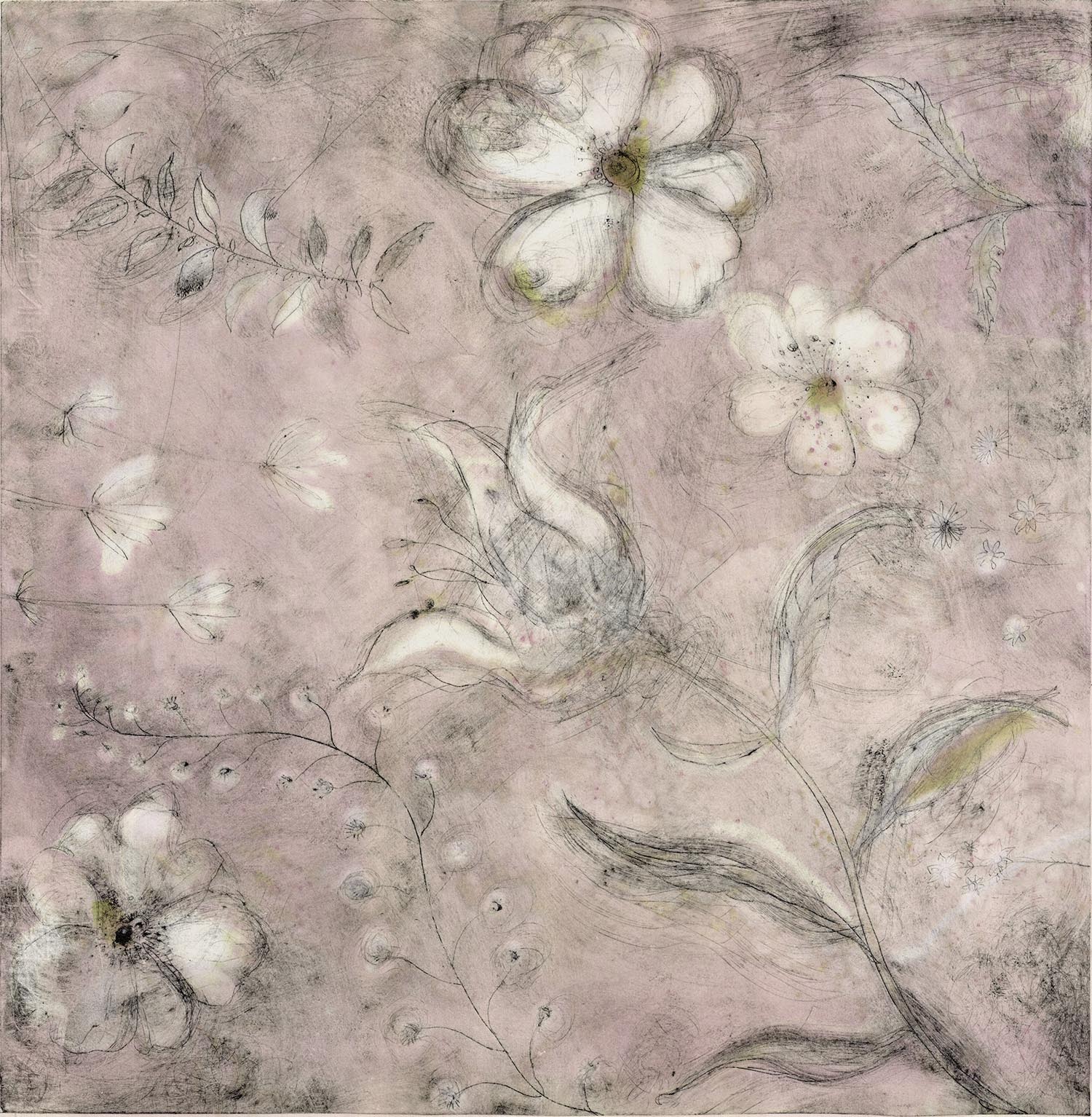 Vintage Petals - handcoloured drypoint image 48x49cm pale oak framed 60x64cm £225