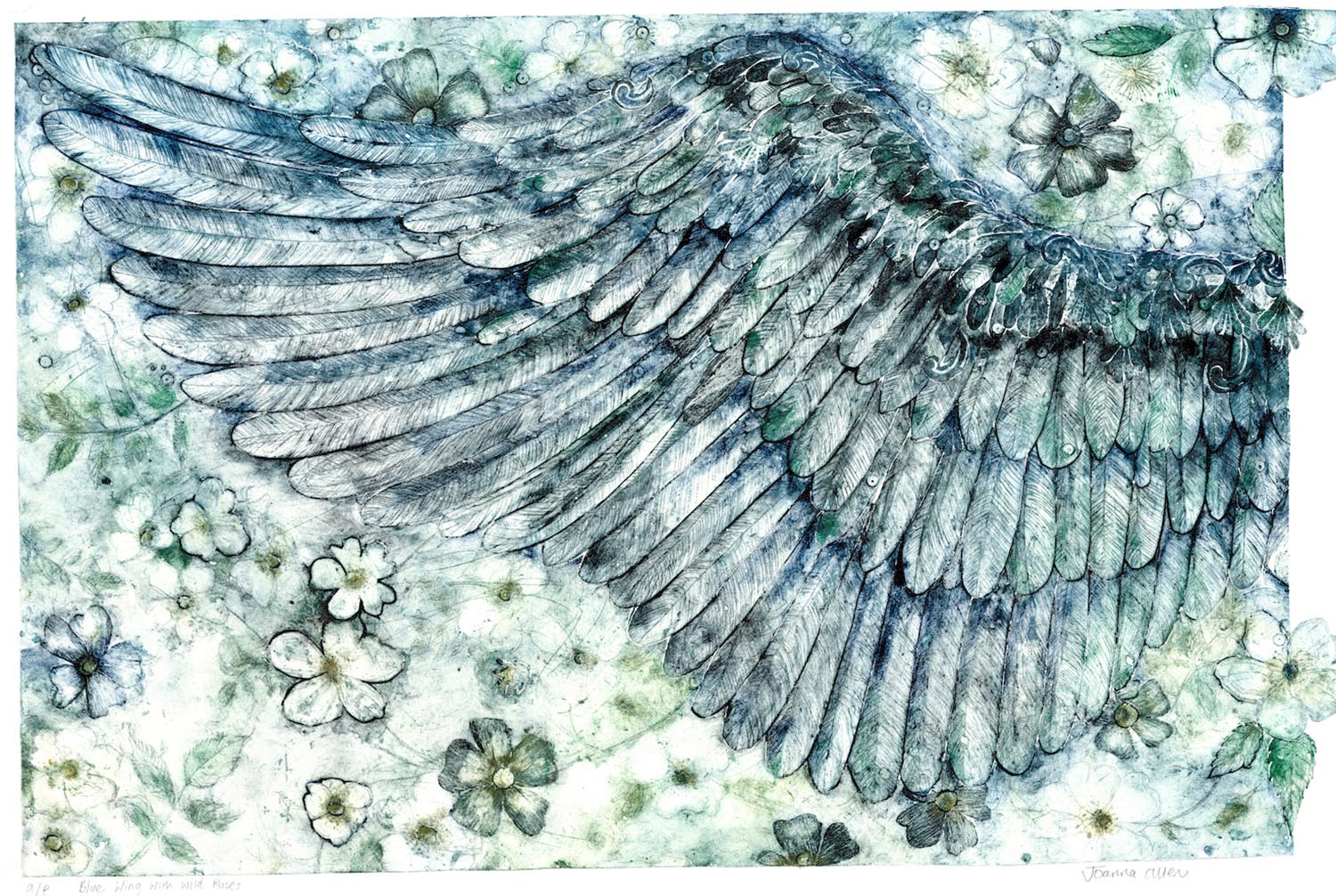 Wing Blues - handcoloured collagraph image 70x45cm white wood framed 92x69cm £475