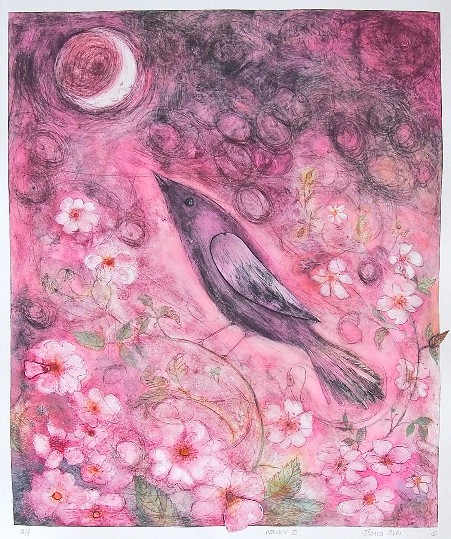 Pink Moon Bird - handcoloured drypoint image 50x41cm white wood frame 68x76cm £245